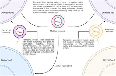 Emerging strategies to overcome ovarian cancer: advances in immunotherapy